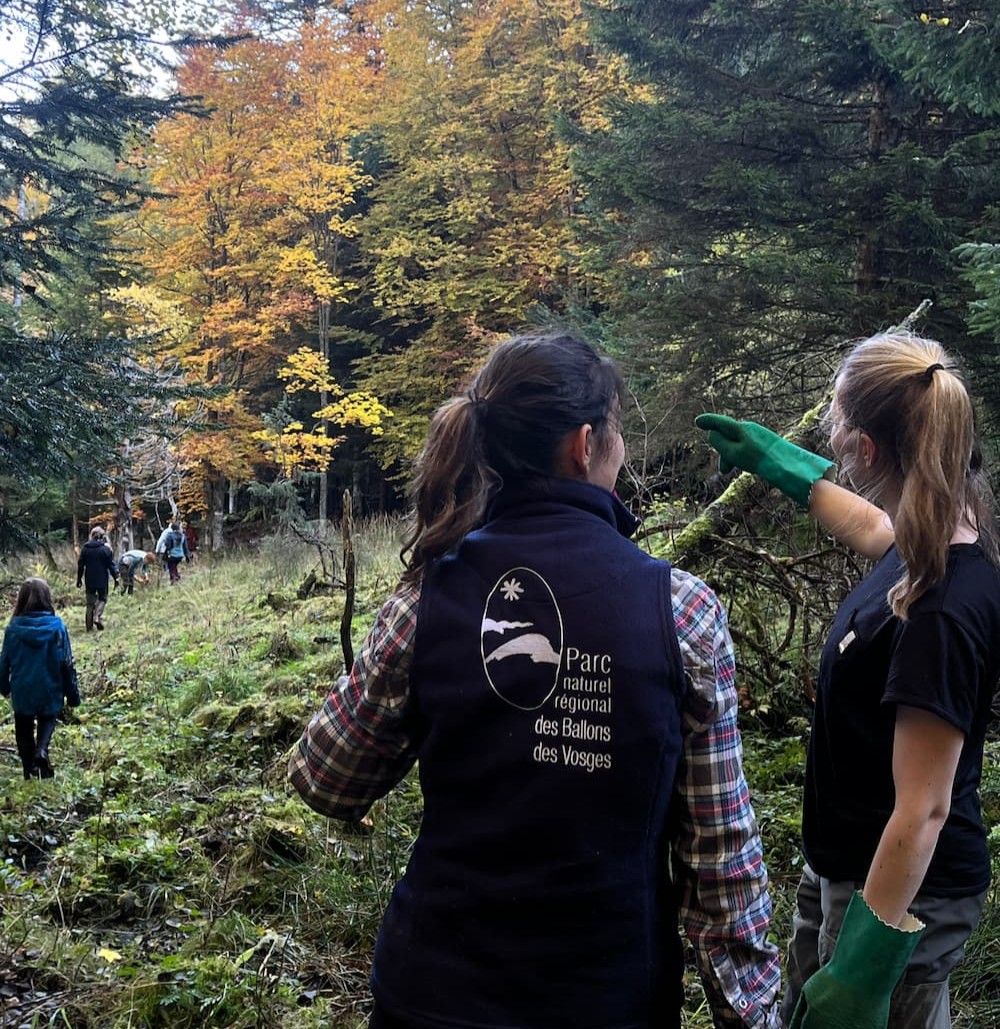 Parc des Ballons des Vosges