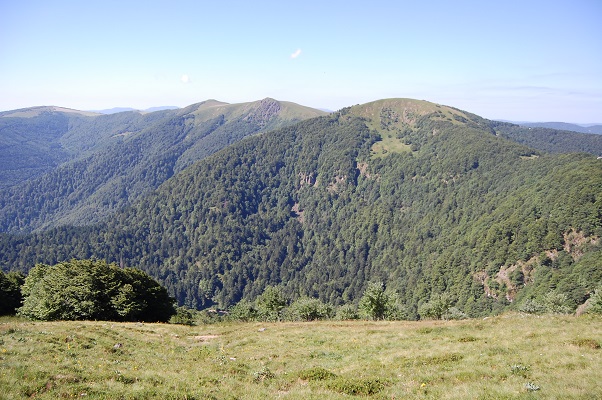 L'état de conservation des habitats naturels des Hautes Vosges ont été évalué en 2014 - 2016