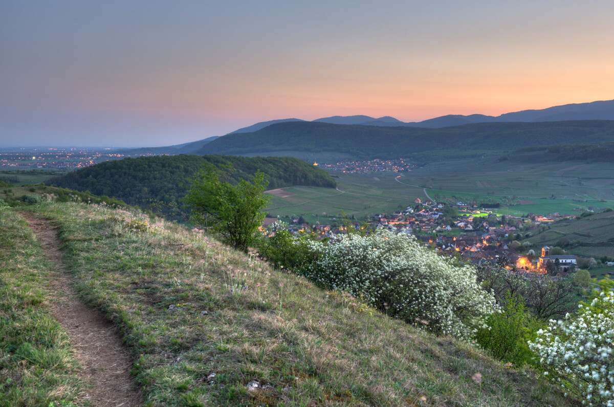 Vue aérienne Mille étangs