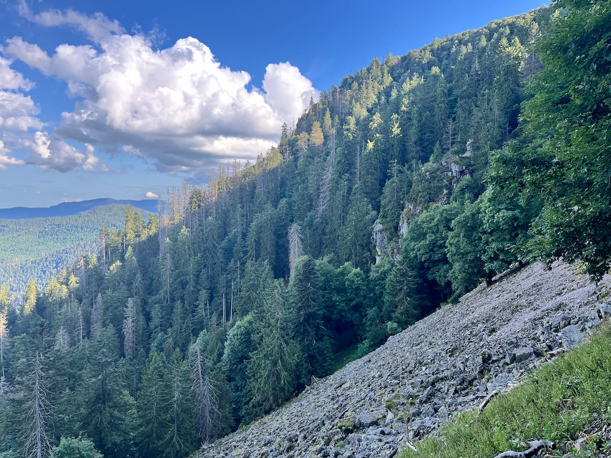 éboulis sentier roches