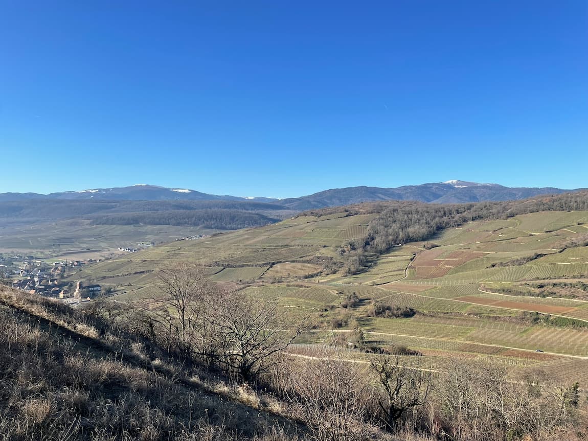 Collines sous-vosgiennes