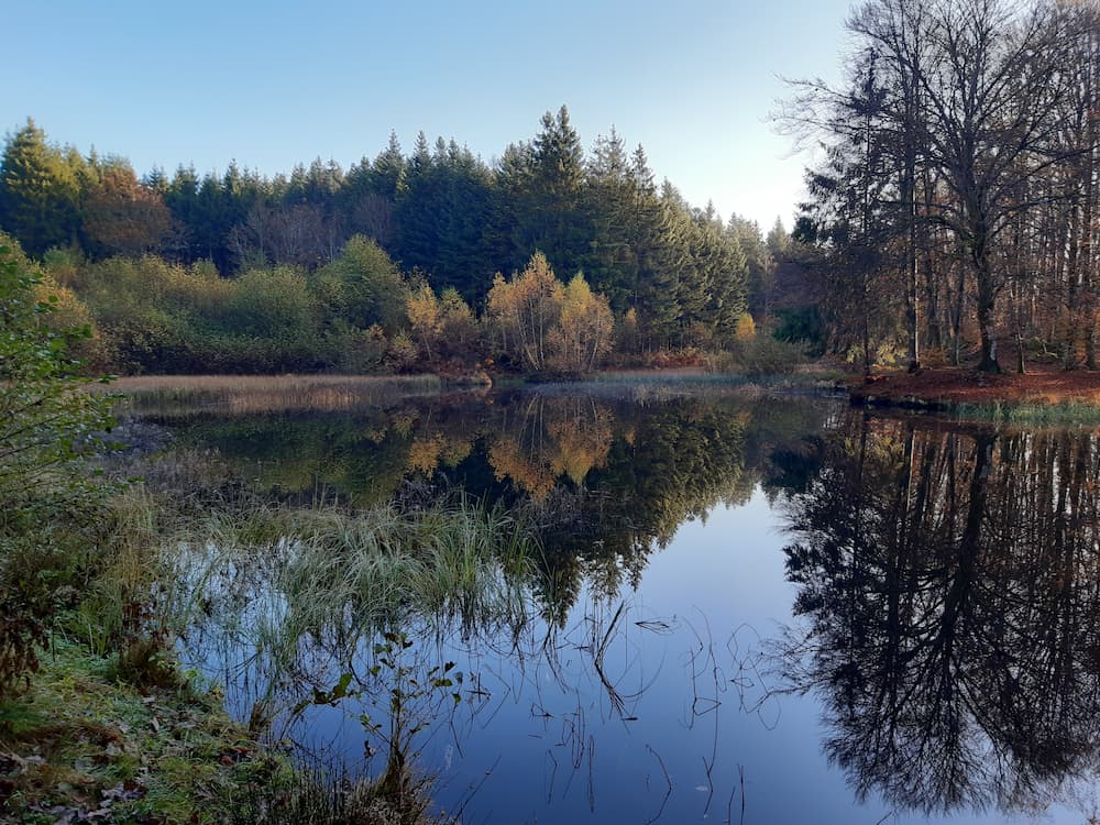Etang PME
