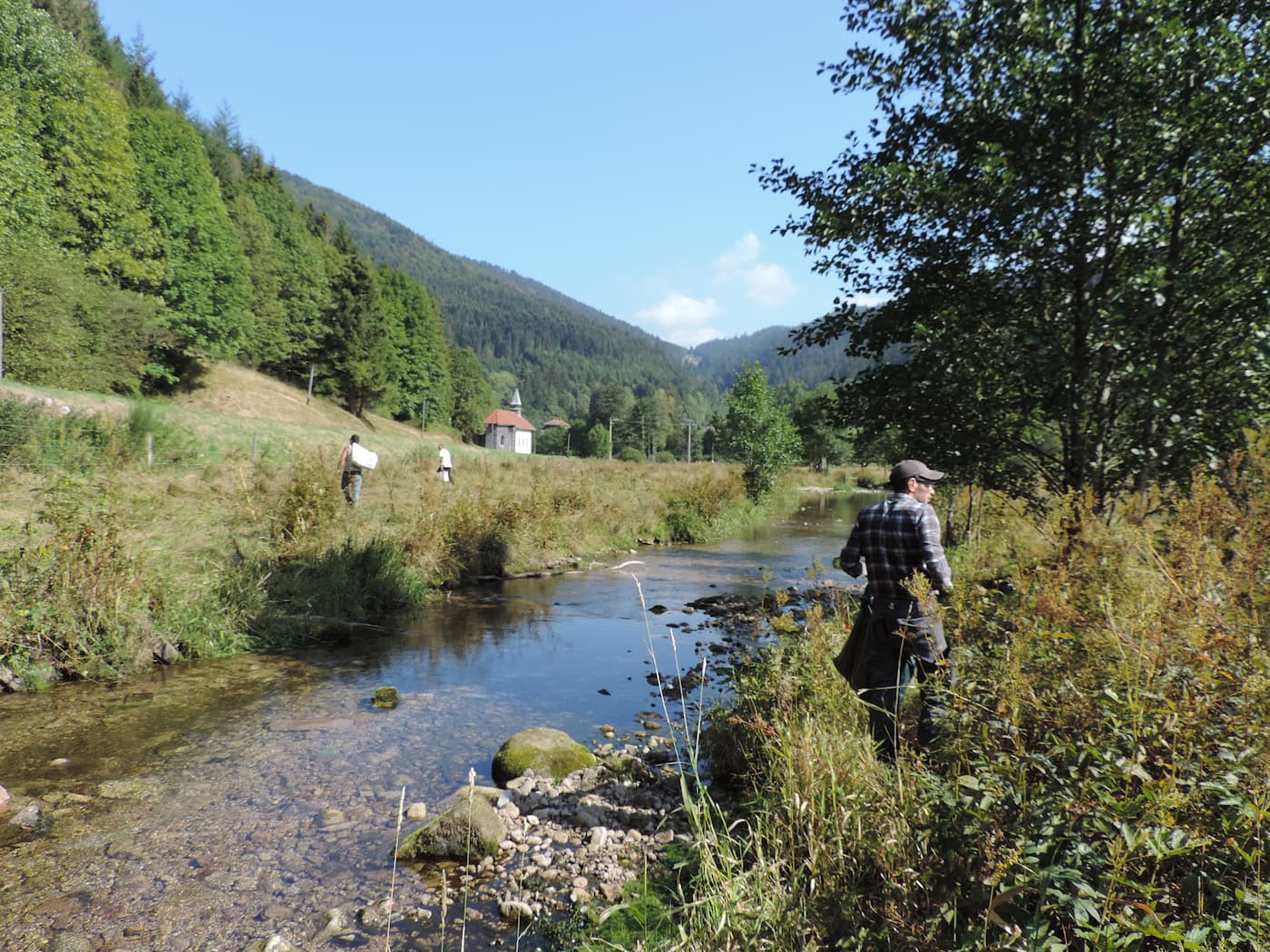 Arrachage Val Meurthe