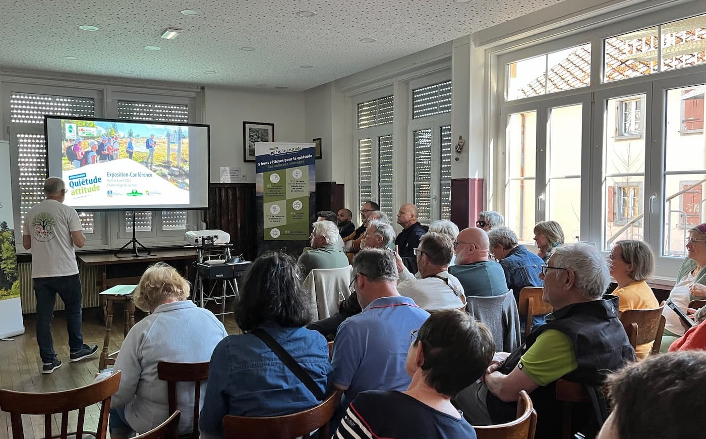 animation grand public