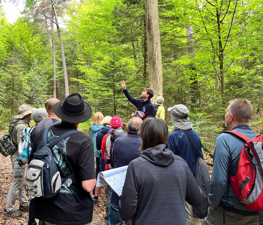 animation grand public