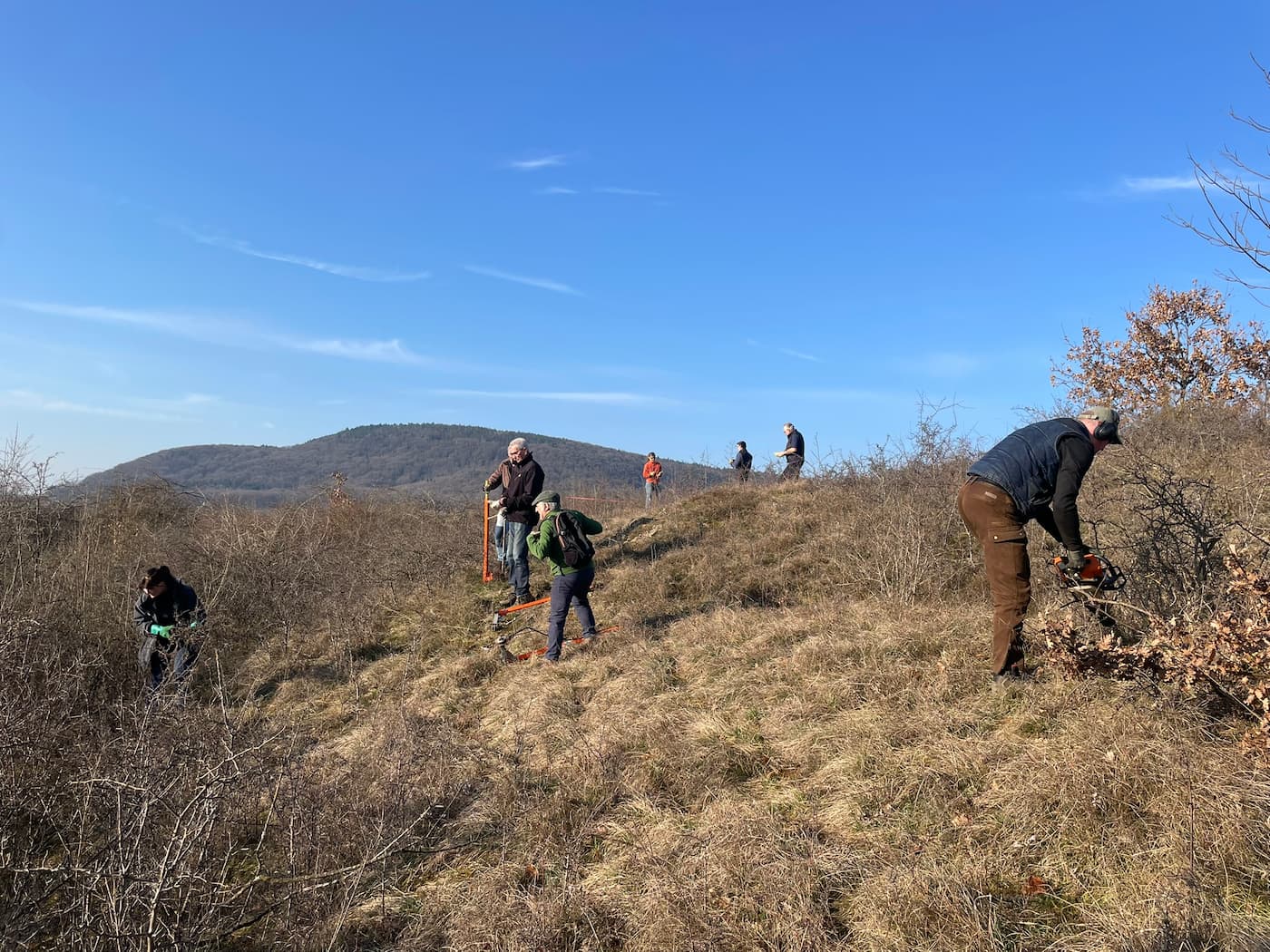 chantier collines-sous-vosgiennes