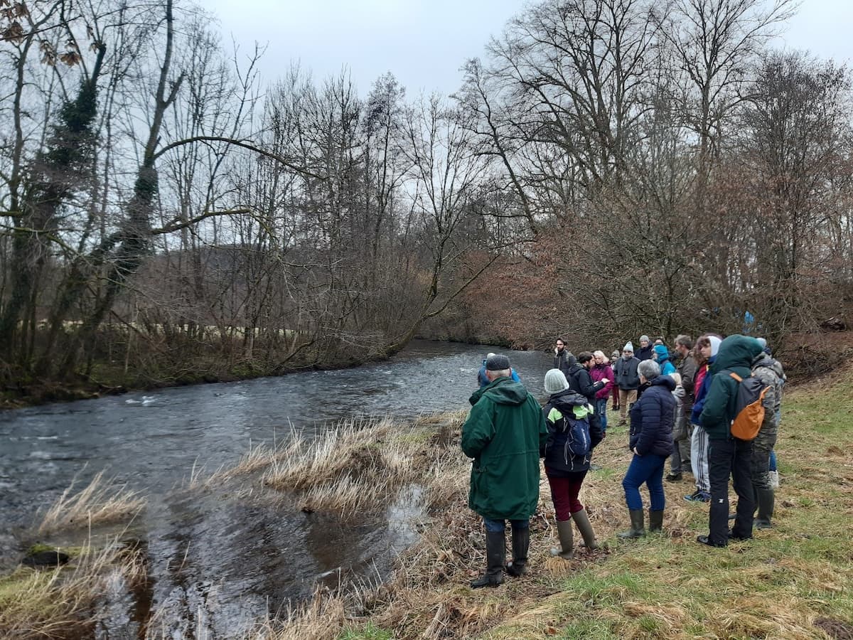 animation grand public