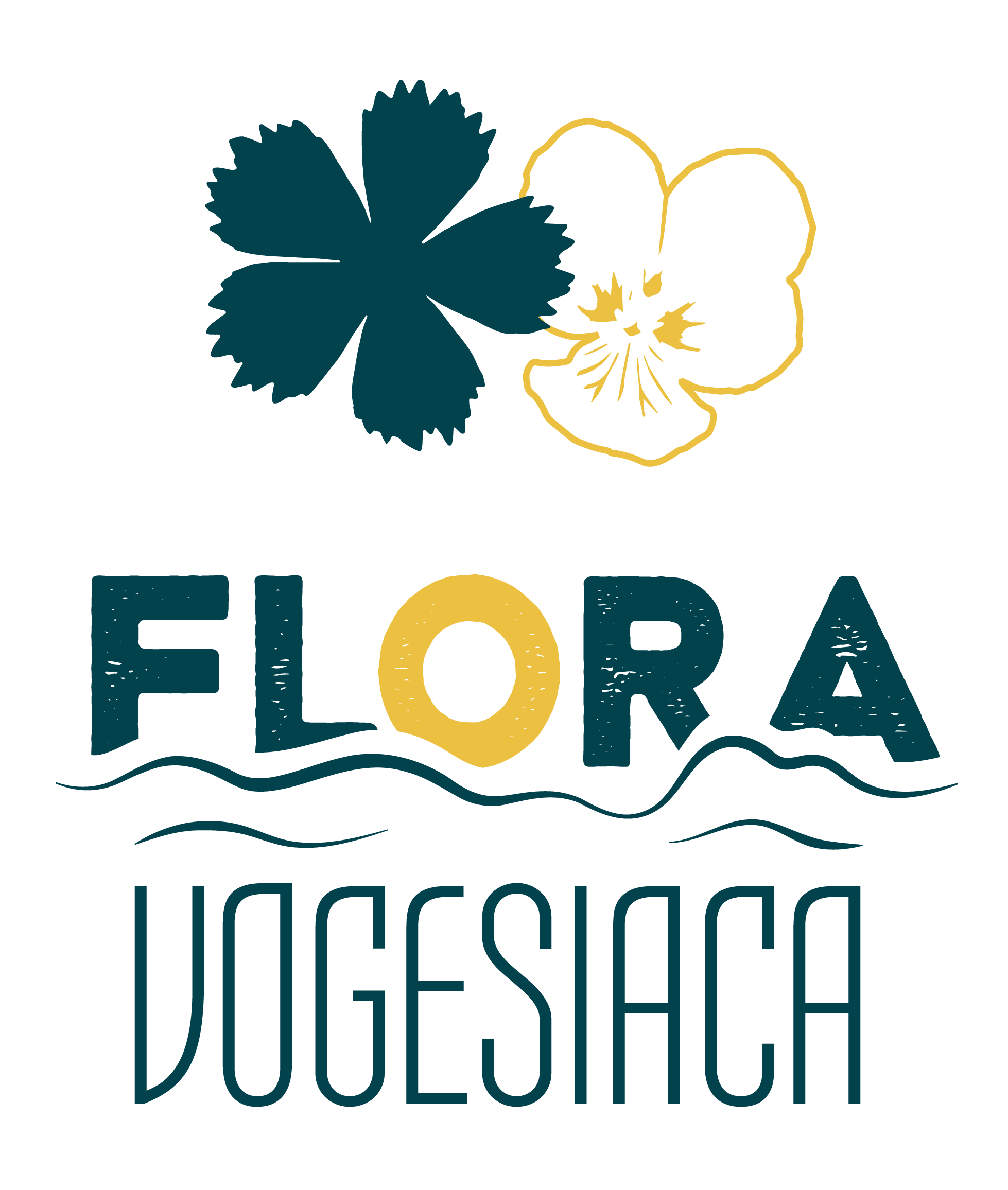 Flora Vogesiaca