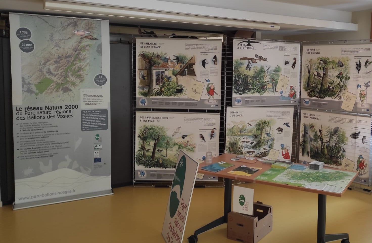 animation grand public