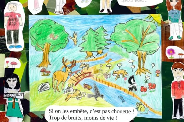 animation scolaire
