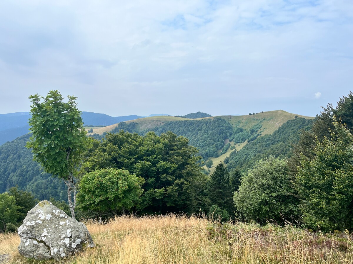 44362-Le_Drumont-PNRBV-Lola_Veillon