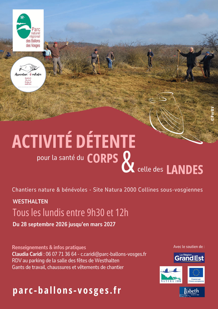 chantier_collines