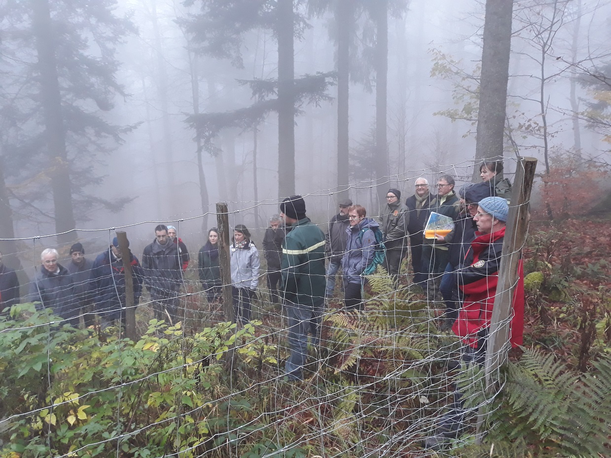 Comité de pilotage natura 2000 des Vosges du Sud, réuni sur le terrain en forêt communale de Masveaux le 9 novembre 2017