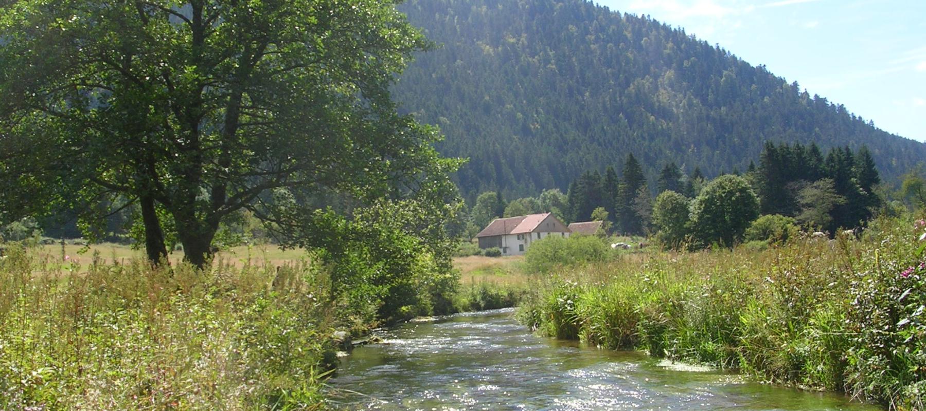 Vallée de la haute Meurthe